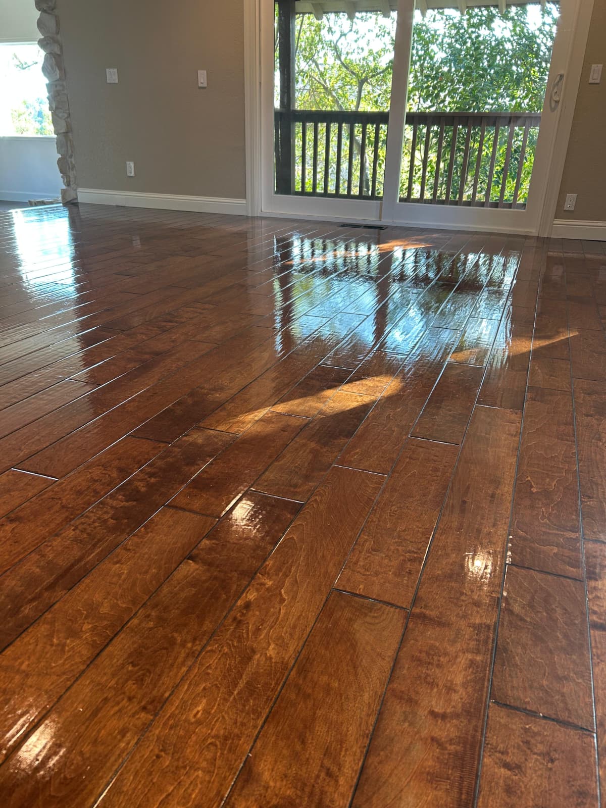 Polished hardwood floor reflecting natural light after SparClean service