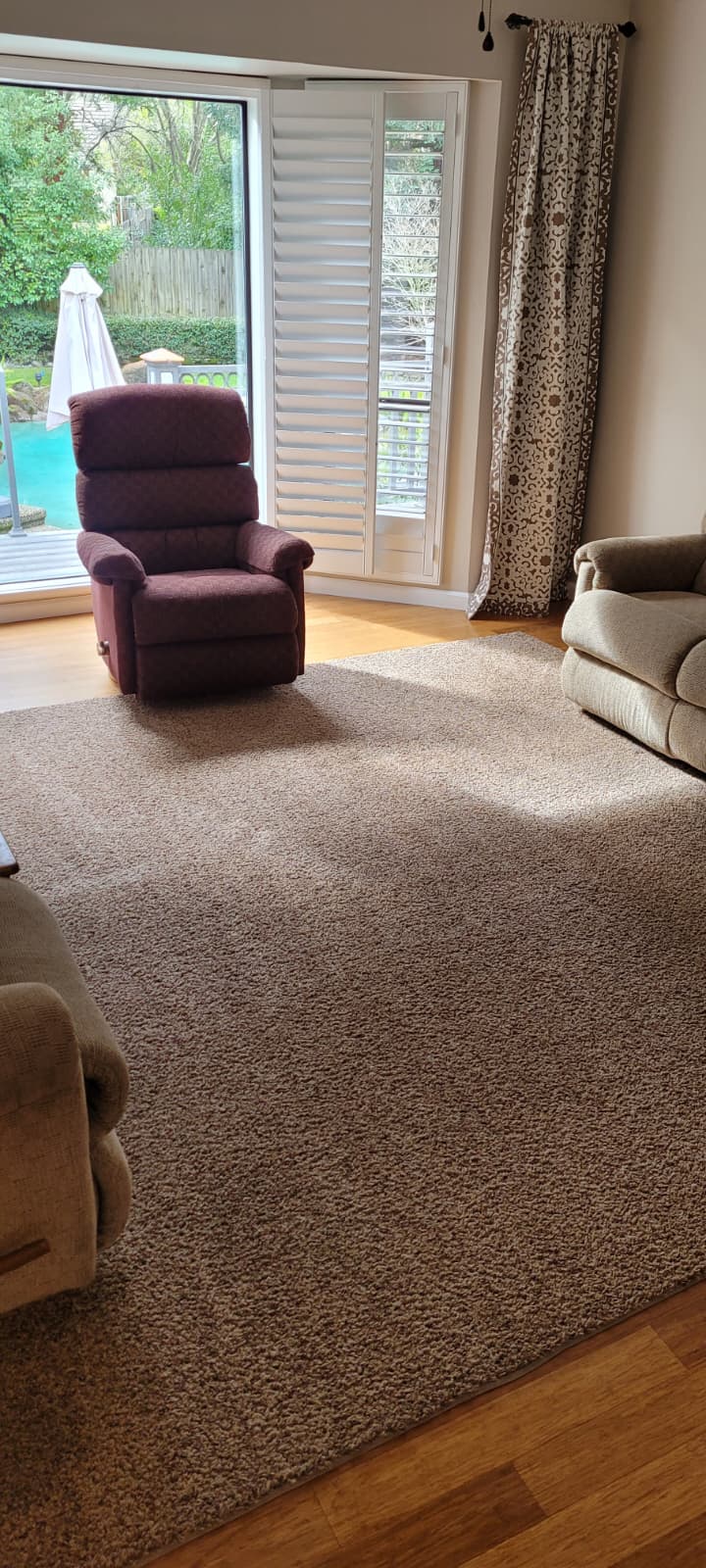 Refreshed living room carpet in a bright furnished home